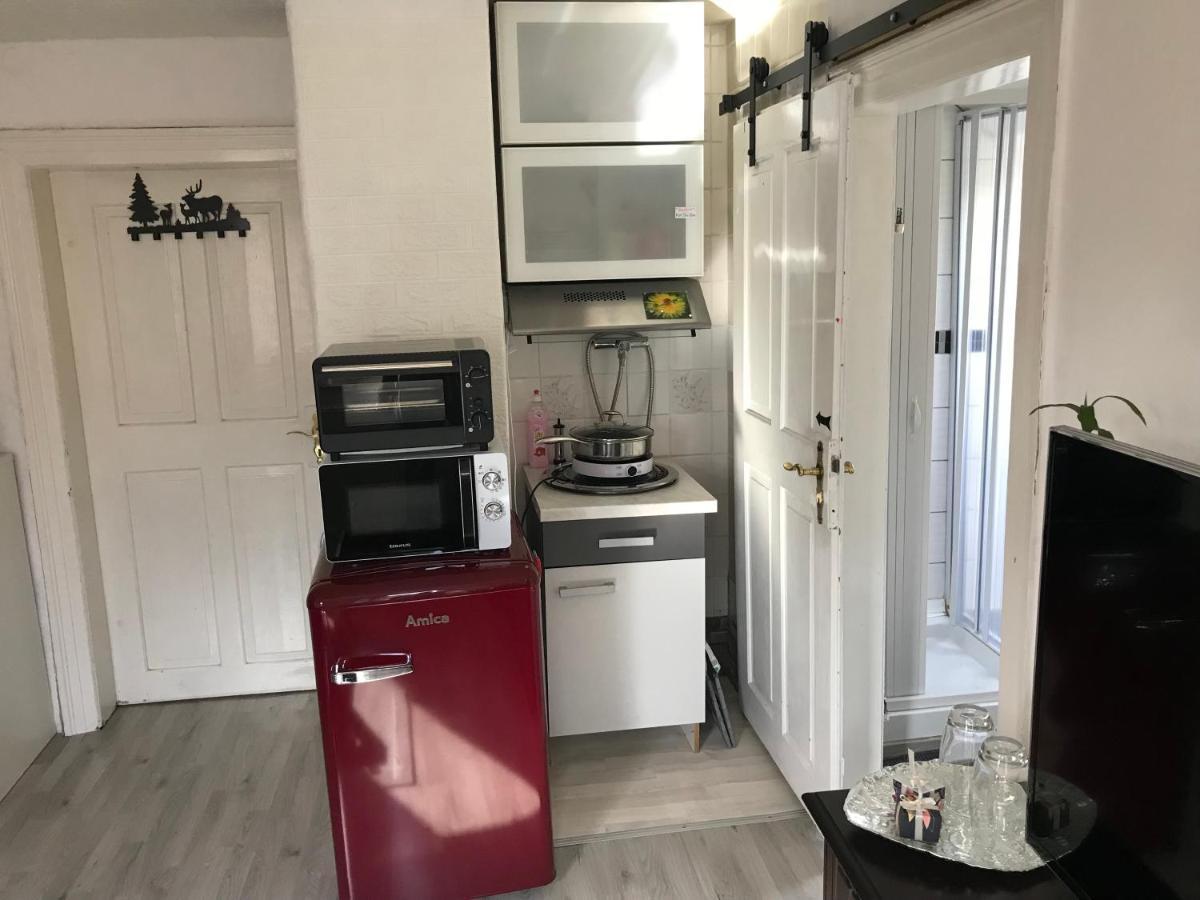Ferienwohnung Im Einfamilienhaus, Automobil Und Robert Schumann Stadt Zwickau Esterno foto